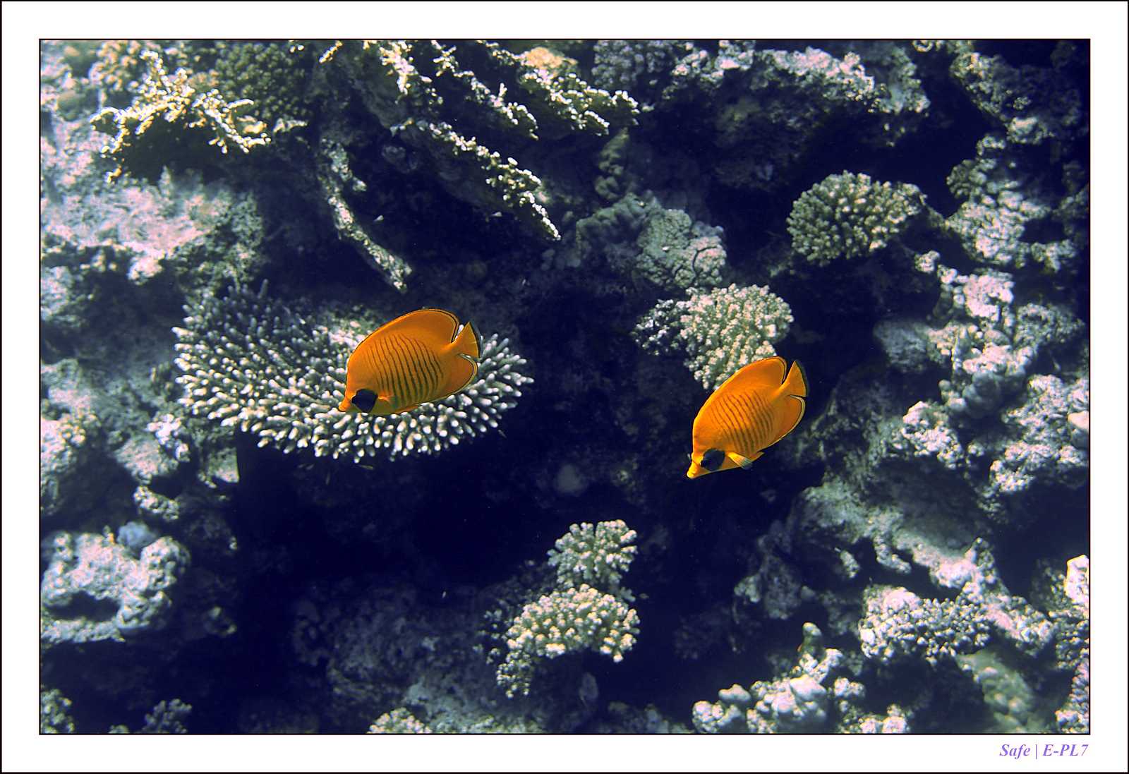 Hurghada - Juillet 2021 - 078